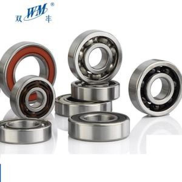 SKF 6009-2RS/EM #1 image