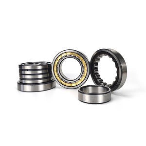 FAG BEARING NJ318-E-M1-C4 #1 image