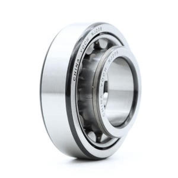 SKF NU 230 ECJ/C3 #1 image