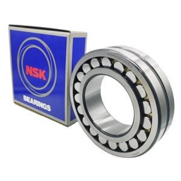 23132EX1K NACHI 160x270x86mm  (Oil) Lubrication Speed 2400 r/min Cylindrical roller bearings #1 image