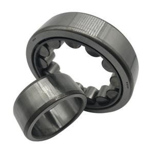 FAG BEARING NUP2218-E-M1 #1 image