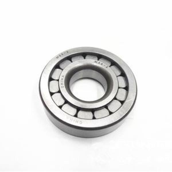 TIMKEN NJ338EMA #1 image