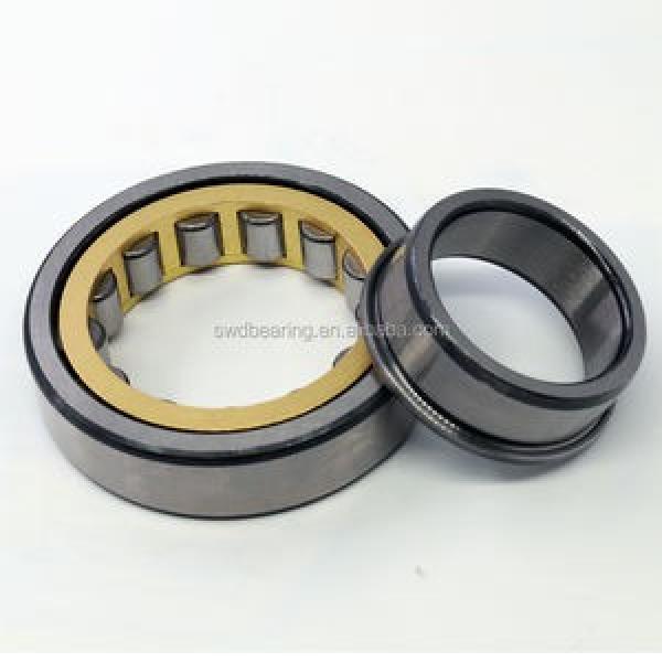 FAG BEARING NJ2206-E-M1-C4 #1 image