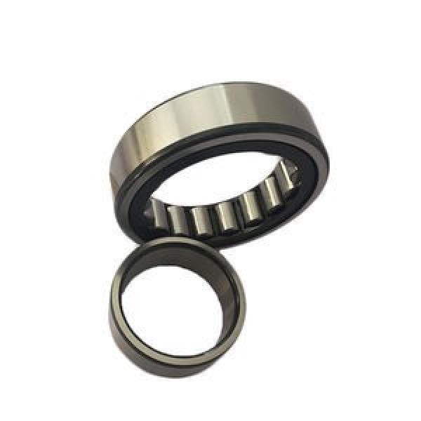 FAG BEARING NU310-E-M1-C5-S1 #1 image