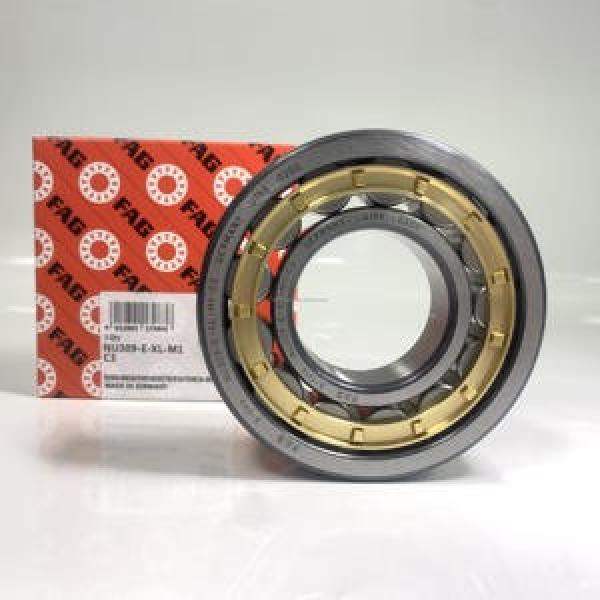 FAG BEARING NUP330-E-M1-C3 #1 image