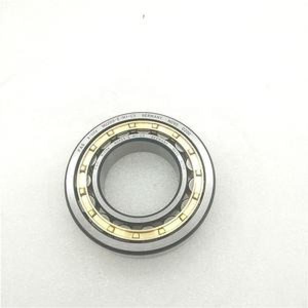 FAG BEARING NJ2309-E-M1A-C4 #1 image