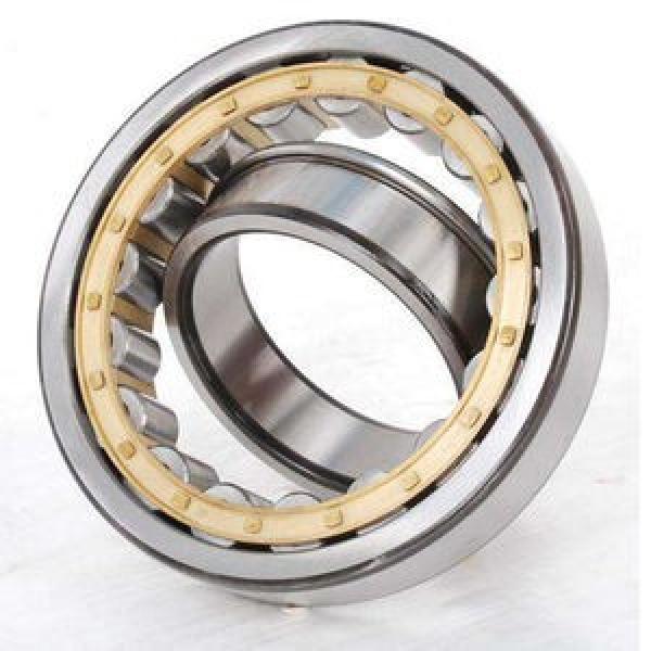 FAG BEARING NU224-E-M1-C5-S1 #1 image