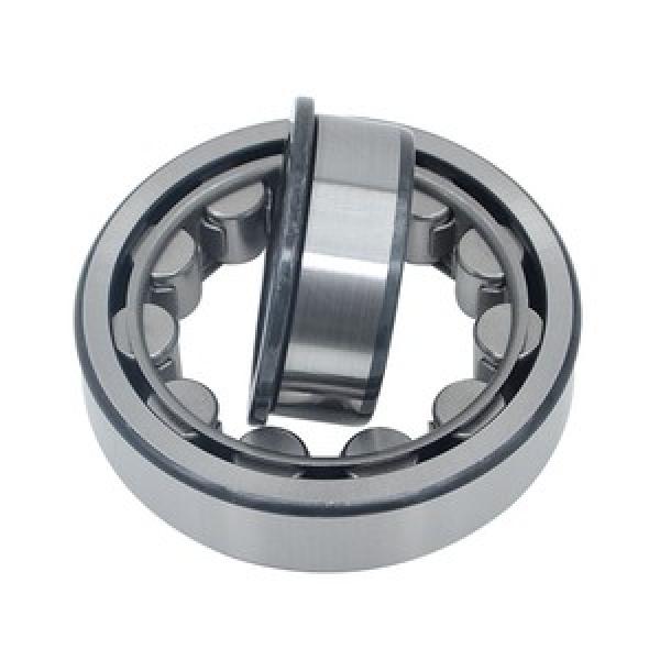 FAG BEARING NU408-M1-C3 #1 image