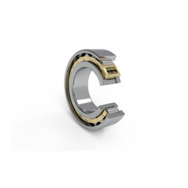 SKF NU 315 ECP / VL0241 - INSOCOAT cylindrical roller bearings #1 image