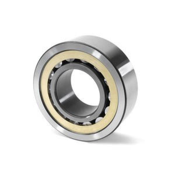 FAG BEARING NU219-E-M1A-C3 #1 image