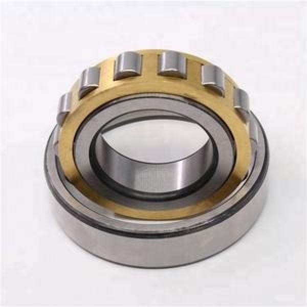 FAG BEARING NU217-E-M1-R124-173-S1 #1 image