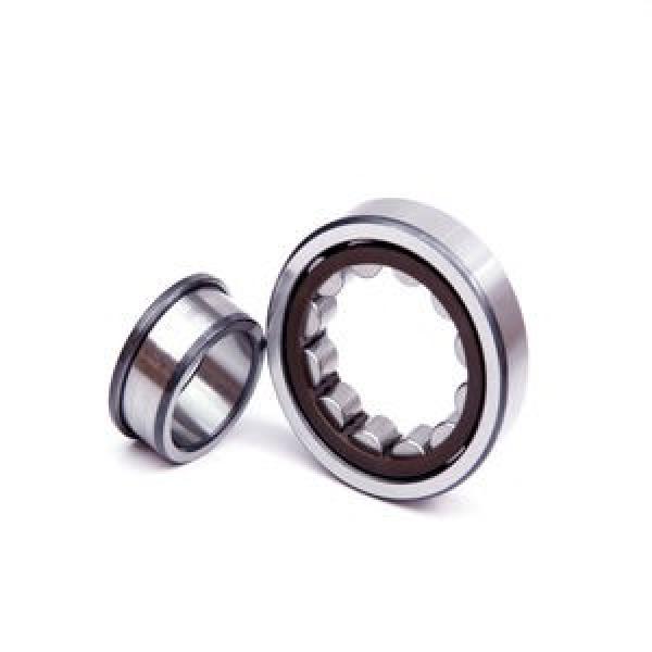 FAG BEARING NUP2222-E-M1-C3 #1 image