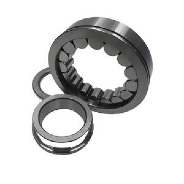 FAG BEARING NUP2304E.M1 #1 image