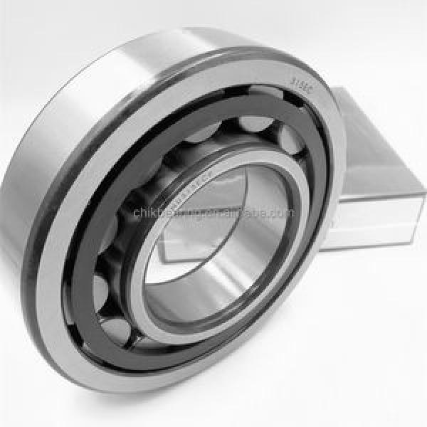 FAG BEARING NUP2213-E-M1-C3 #1 image