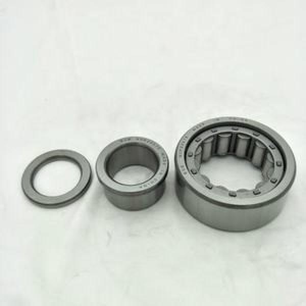 FAG BEARING NUP252E.M1 #1 image