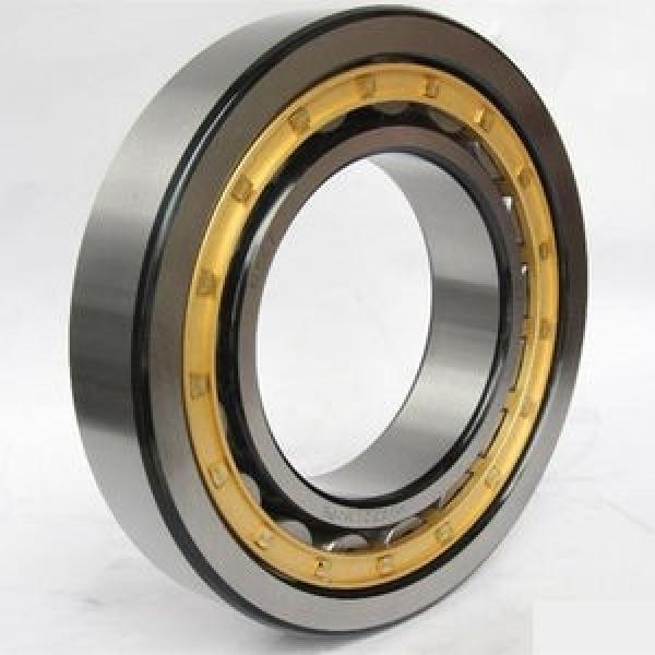SKF NUP 2215 ECML/C3 #1 image