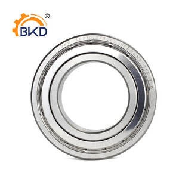 FAG BEARING S6005 #1 image