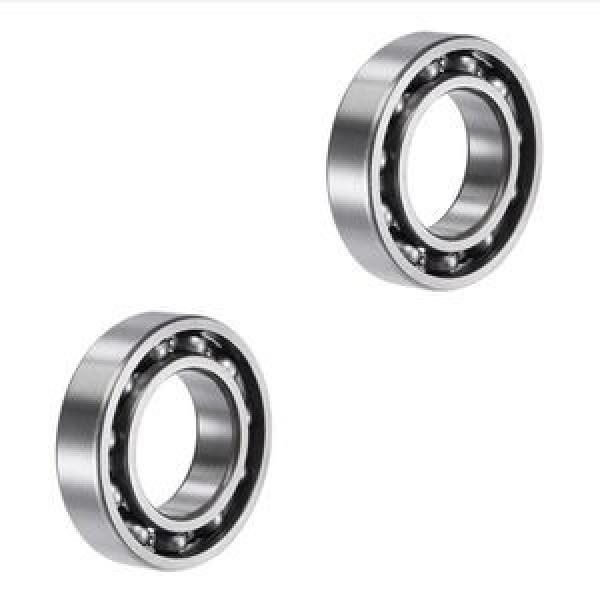 SKF 6007 #1 image