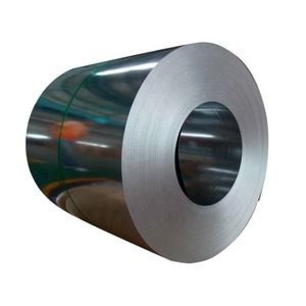 SKF 1219 #1 image