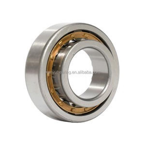 6302 15x42x13mm Open Unshielded NSK Radial Deep Groove Ball Bearing #1 image