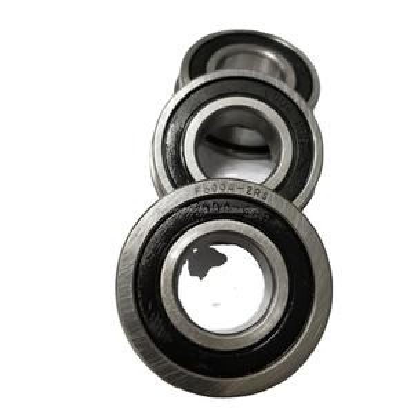 6004 20x42x12mm DDU C3 Rubber Sealed 2RS NSK Radial Deep Groove Ball Bearing #1 image