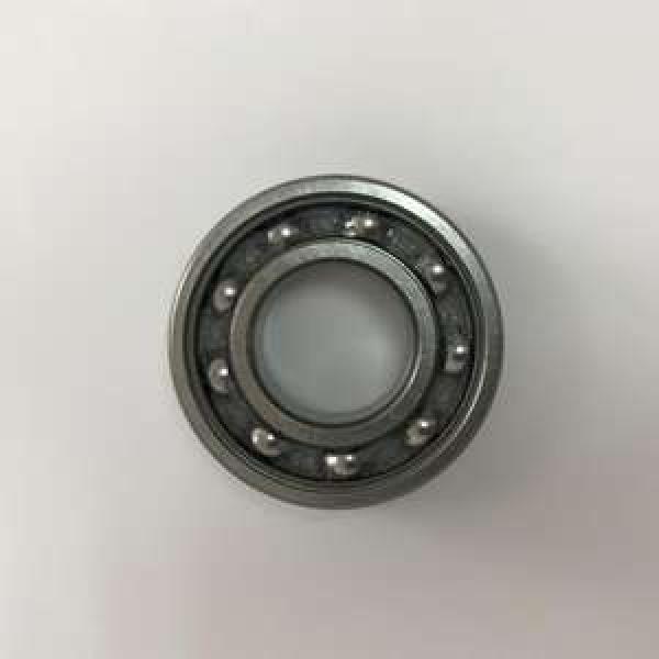 6004 20x42x12mm C3 Open Unshielded NSK Radial Deep Groove Ball Bearing #1 image