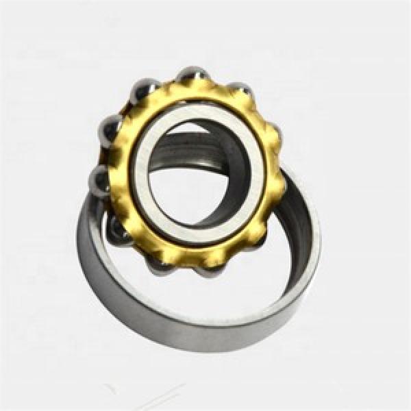 6304 20x52x15mm Open Unshielded NSK Radial Deep Groove Ball Bearing #1 image