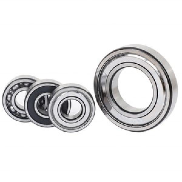 SKF Bearing 6004 bearing new #1 image