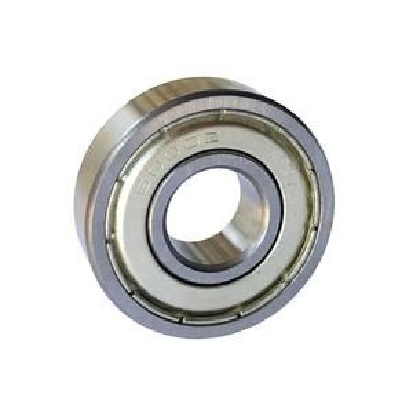 SKF BEARING 6013 2ZJEM / 6013-2Z/C3HT51 #1 image