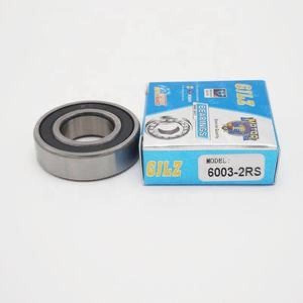 SKF 6003-J/EM Bearing #1 image