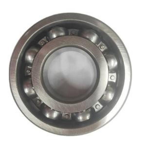 11307 Loyal 35x80x21mm  Weight 0.821 Kg Self aligning ball bearings #1 image