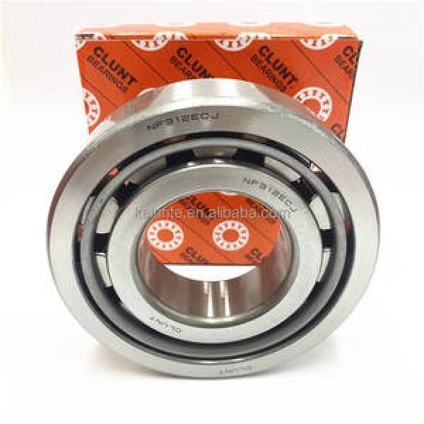 1313SK NTN 65x140x33mm  (Oil) Lubrication Speed 5 300 r/min Self aligning ball bearings #1 image