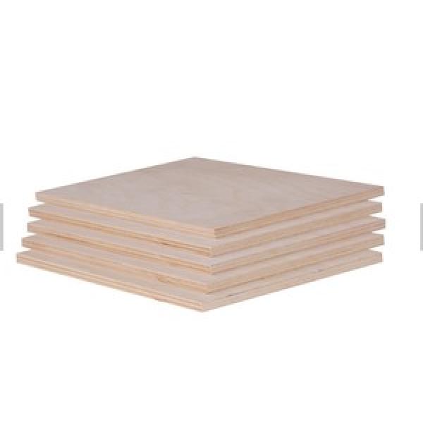 STO 50 SKF C 19.8 mm 50x90x19.8mm  Cylindrical roller bearings #1 image