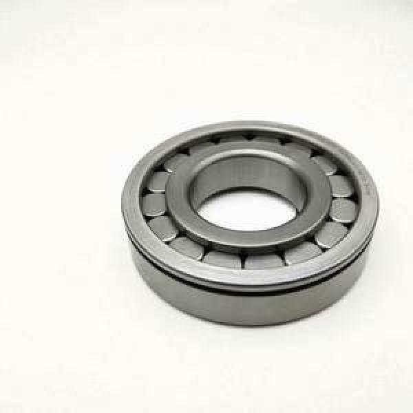 SL192340-TB INA 200x420x138mm  s 7 mm / Axial displacement Cylindrical roller bearings #1 image