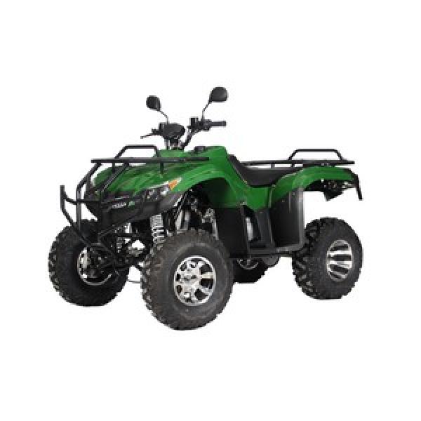 190RJ30 Timken  C 75 mm Cylindrical roller bearings #1 image