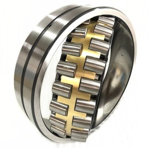 SL183060 ISO B 118 mm 300x460x118mm  Cylindrical roller bearings #1 image