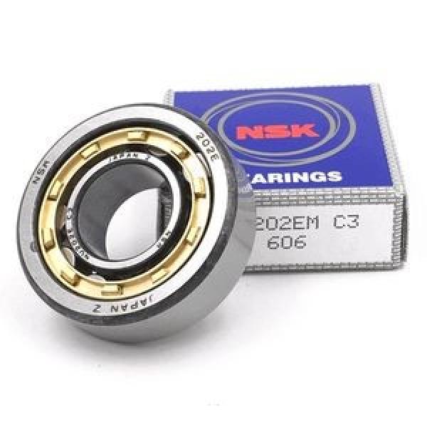 21313AX NACHI (Oil) Lubrication Speed 6400 r/min 65x140x33mm  Cylindrical roller bearings #1 image