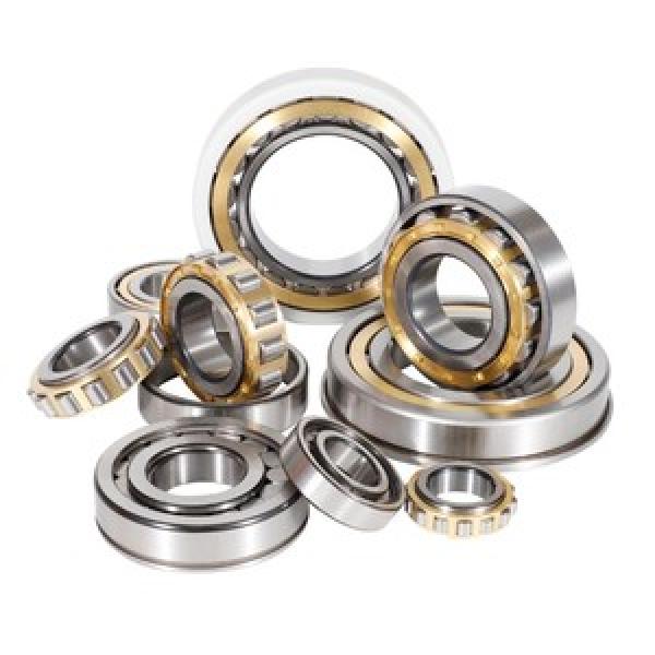 SL183028 INA Relubricatable Yes 140x210x53mm  Cylindrical roller bearings #1 image