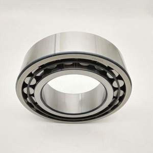 SL183036 INA 180x280x74mm  Noun Bearing Cylindrical roller bearings #1 image