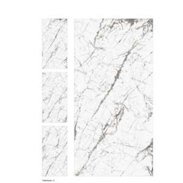 24032EX1 NACHI C 80 mm 160x240x80mm  Cylindrical roller bearings #1 image