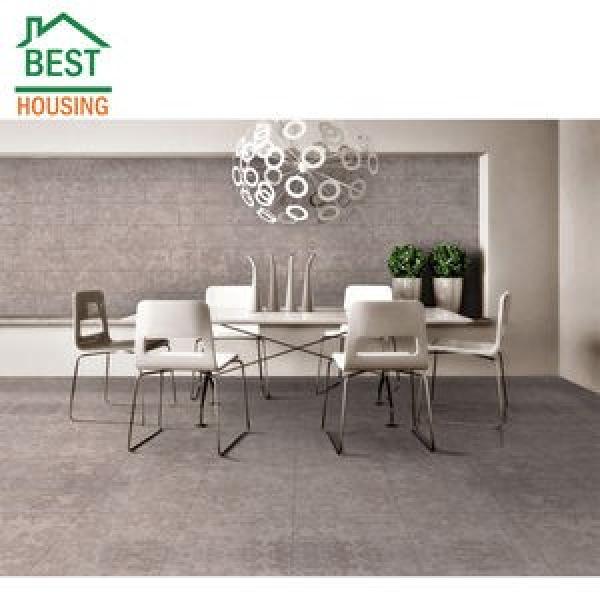 SL045038-PP INA 190x290x136mm  Product Group - BDI B04144 Cylindrical roller bearings #1 image