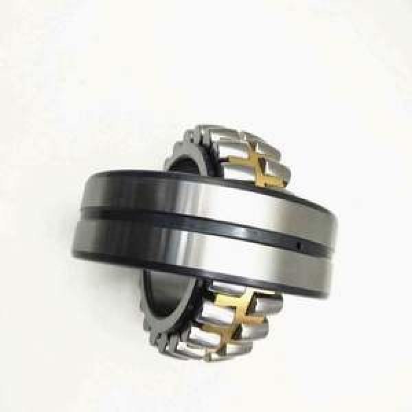 23136A2X NACHI 180x300x96mm  (Grease) Lubrication Speed 1800 r/min Cylindrical roller bearings #1 image