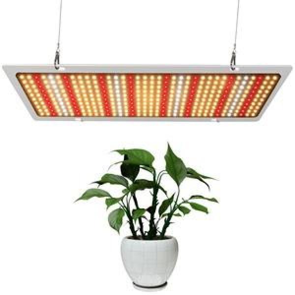 240RF02 Timken  d 240 mm Cylindrical roller bearings #1 image