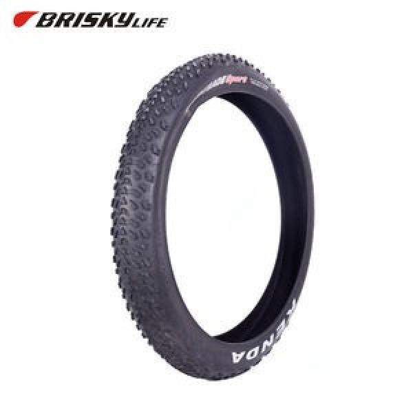 48R5429 KOYO 48x54x29mm  Width  29mm Needle roller bearings #1 image