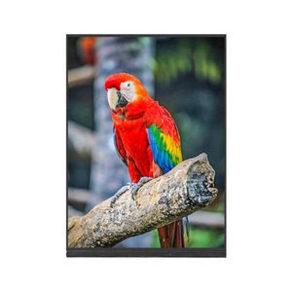 13685A/13620 Timken C 15.083 mm 38.1x69.012x19.05mm  Tapered roller bearings #1 image