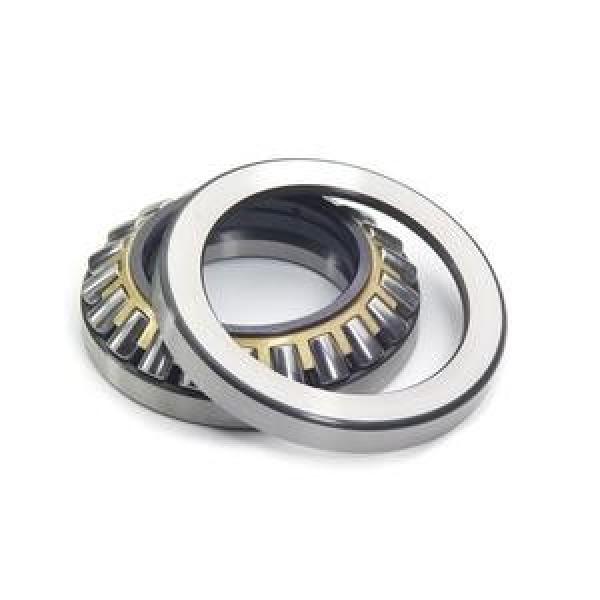 29436 M Loyal Weight 52.5 Kg  Thrust roller bearings #1 image