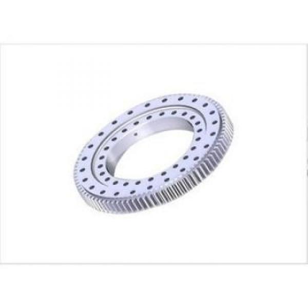 308DBS204y slewing bearing #1 image