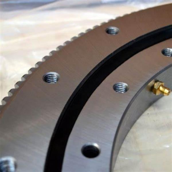 308DBS206y slewing bearing #1 image