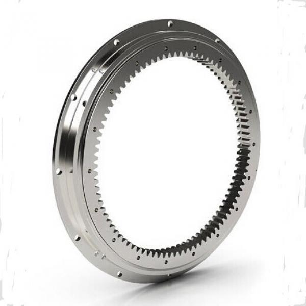 VSI250755-N slewing ring bearings (internal gear teeth) #1 image