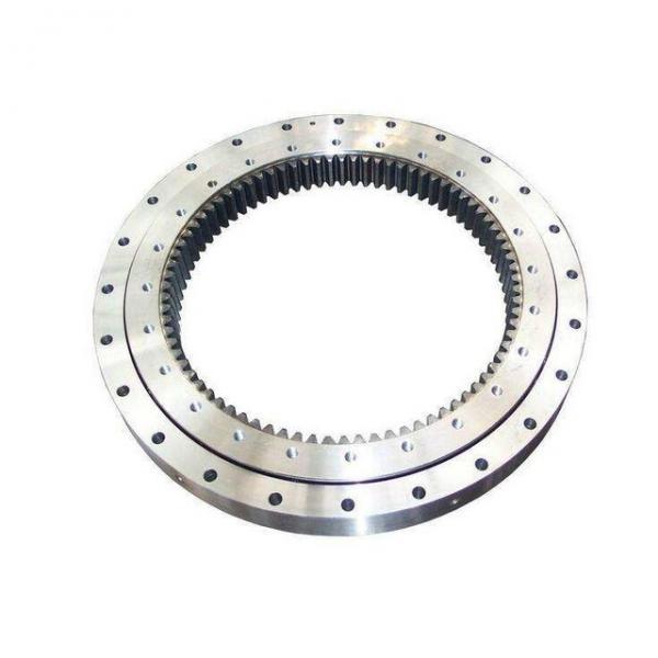 VSU250755 slewing ring bearing INA #1 image